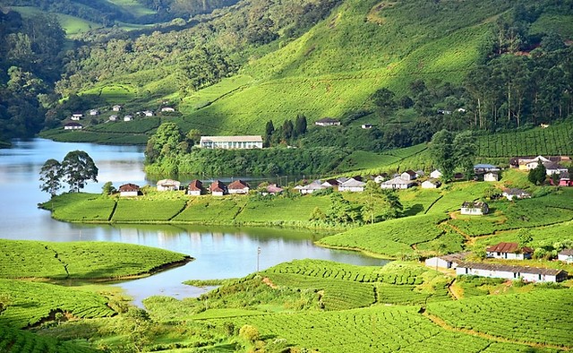 ARRIVÉE À COCHIN - MUNNAR